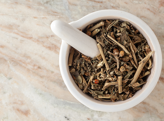 Ashwagandha botanical