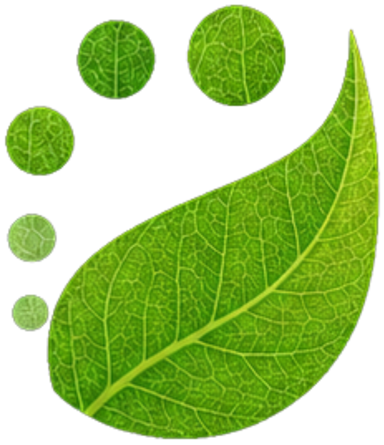Dobel Logo Icon
