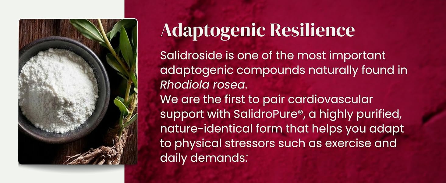 SalidroPure Salidroside
