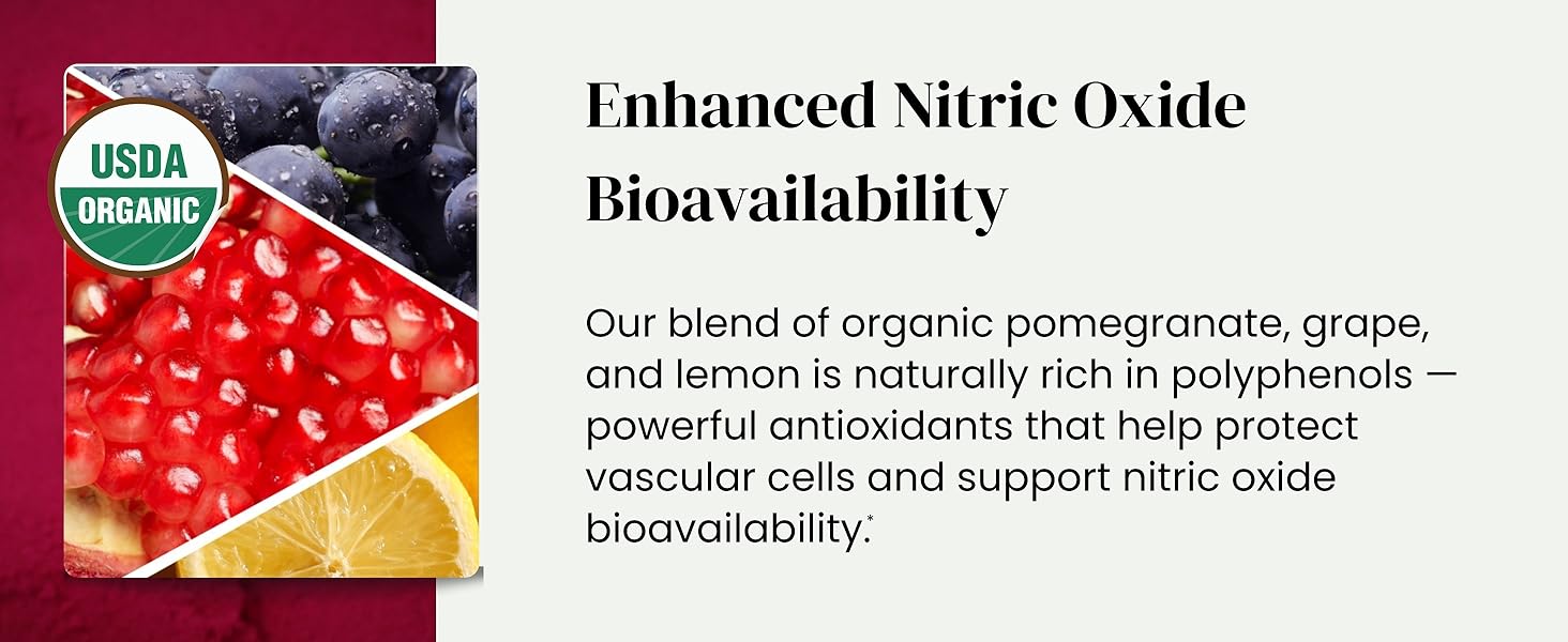 Organic Pomegranate Fruit Powder